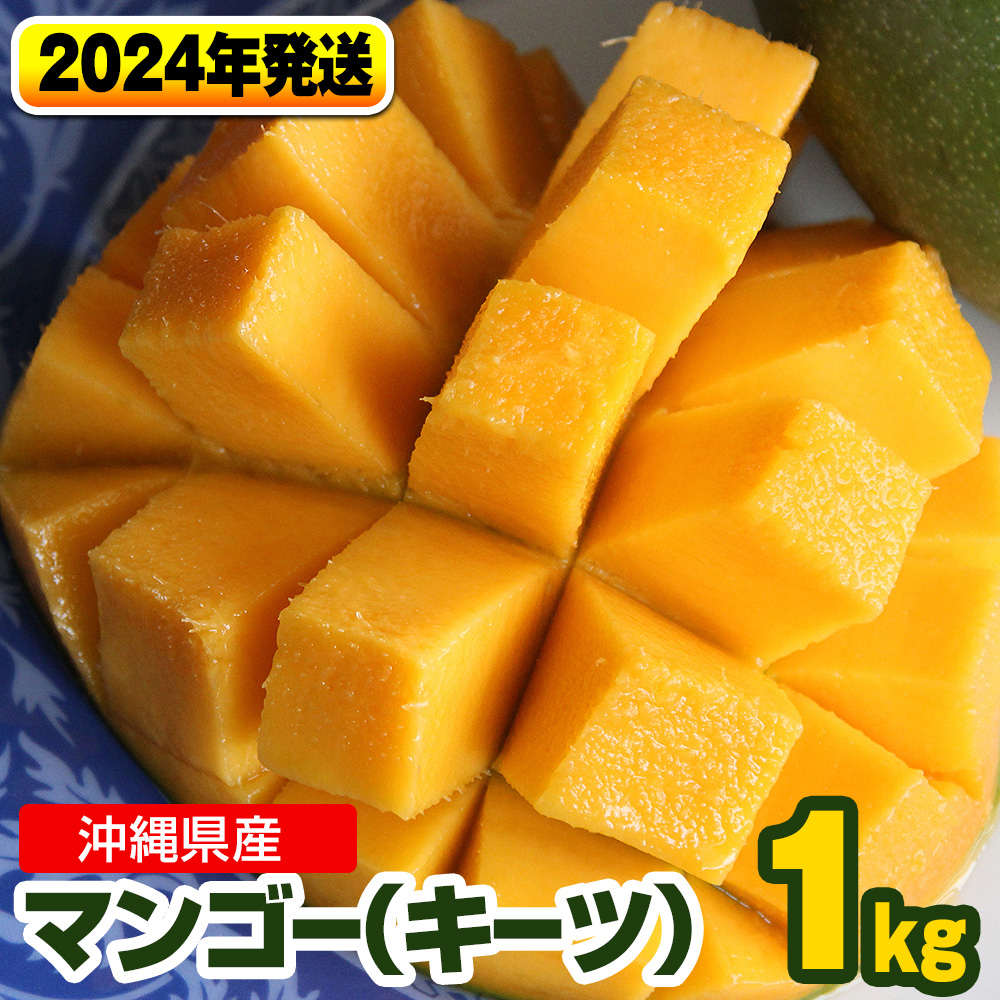 【2022年発送】南国の果物　沖縄県産マン