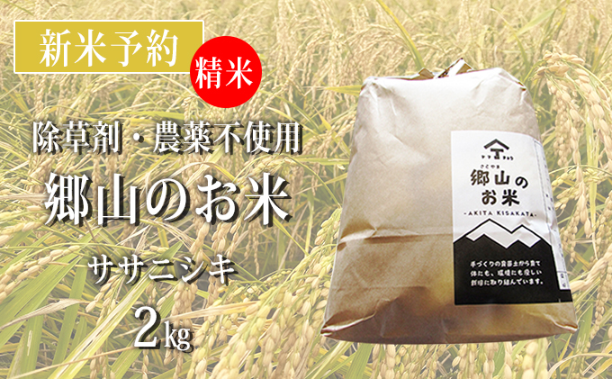 [新米予約]農薬不使用のササニシキ(精米)「郷山のお米」2kg