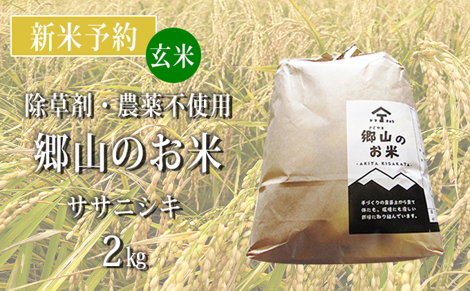 [新米予約]農薬不使用のササニシキ(玄米)「郷山のお米」2kg
