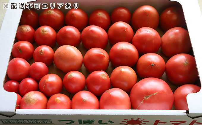 坪井農園　こだわりトマト【訳あり】3.5kg