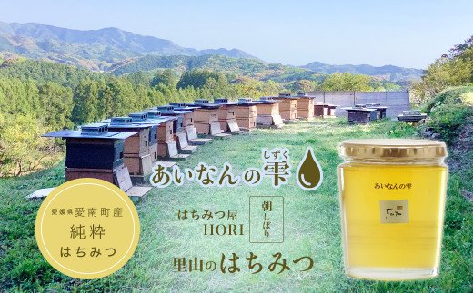 【愛媛県愛南町】里山のはちみつ 〜あいなんの雫〜 450g 発送時期:2025年5月〜(なくなり次第終了)