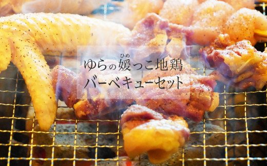 【愛媛県愛南町】ゆらの媛っこ地鶏BBQセット(約1.5kg)