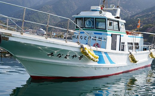 【愛媛県愛南町】【みなとや渡船】乗船券