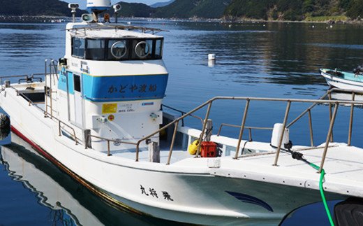 【愛媛県愛南町】【かどや渡船】乗船券
