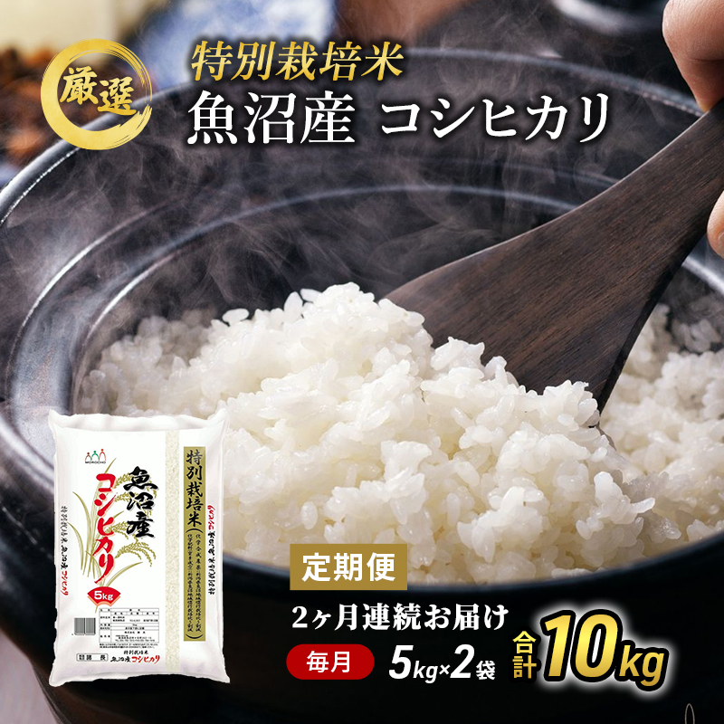 特別栽培米】お米アドバイザー厳選 魚沼産コシヒカリ（精米）10kg（5kg