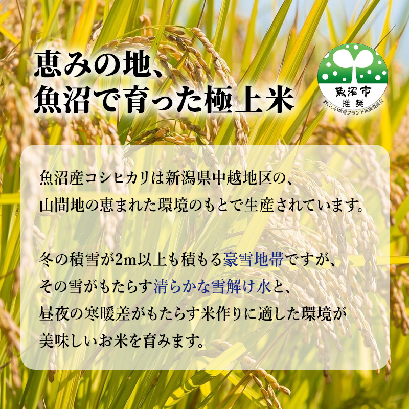 新潟県魚沼市のふるさと納税 令和6年産『お米アドバイザー厳選！』魚沼産コシヒカリ 精米15kg（5kg×3）