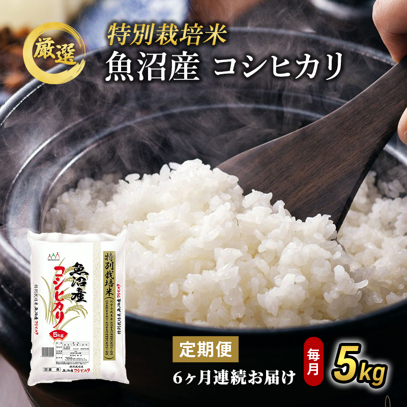 令和5年産　魚沼産コシヒカリ特別栽培米　精米5キロ