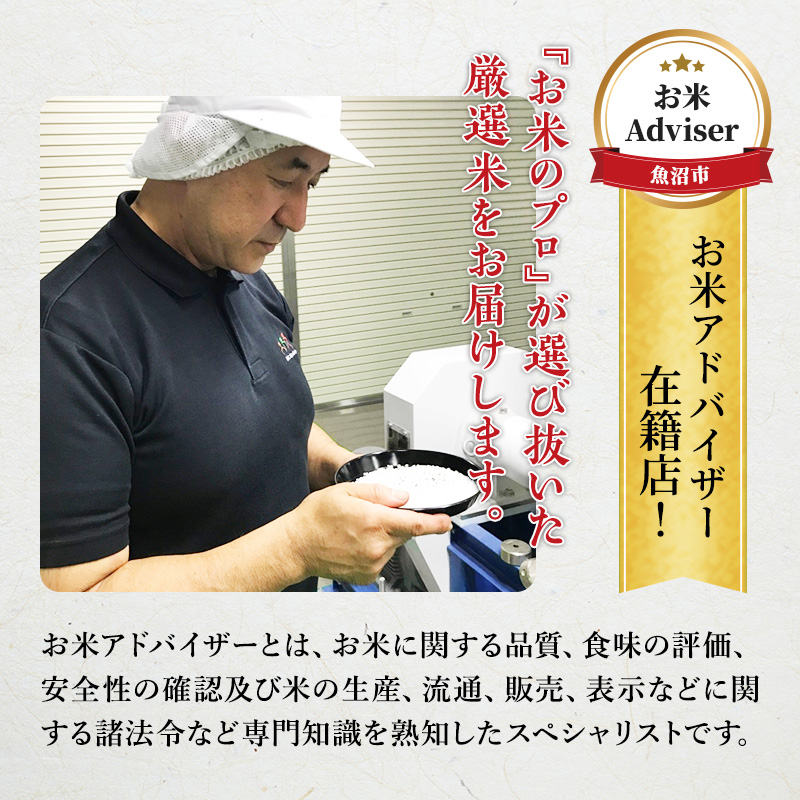 新潟県魚沼市のふるさと納税 令和6年産『お米アドバイザー厳選！』魚沼産コシヒカリ 精米15kg（5kg×3）