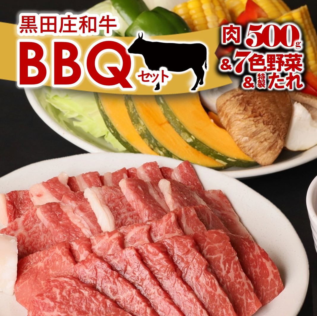 【兵庫県西脇市】【神戸牛の素牛】黒田庄和牛と七色の野菜バーベキューセット(モモ、バラ計500g)44-44