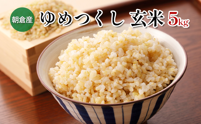 米 5kg 玄米 ゆめつくし