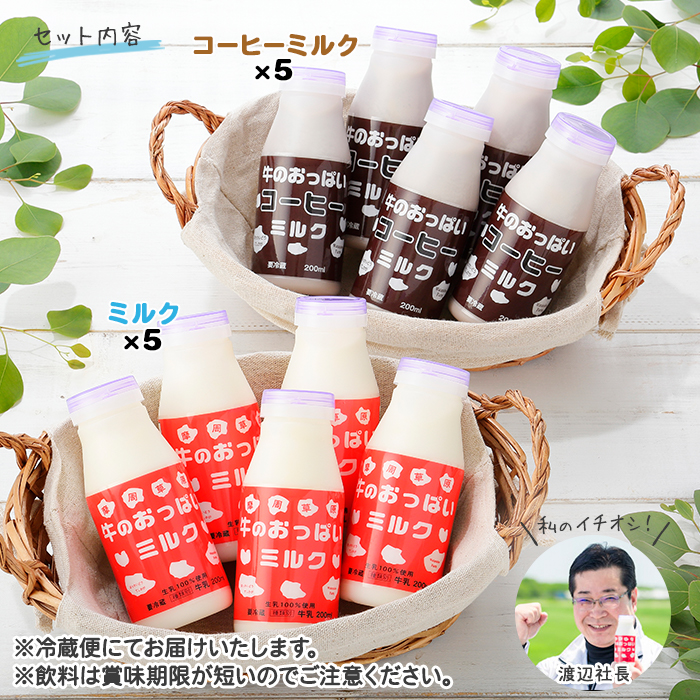 787.牛のおっぱいミルク 5本 コーヒー 5本 計10本 飲み比べ セット 牛乳 生乳 ミルク 牛 酪農 飲料 しぼりたて コーヒー 珈琲  お取り寄せ ギフト gift 渡辺体験牧場 まとめ買い 北海道 弟子屈町 / 北海道弟子屈町 | セゾンのふるさと納税