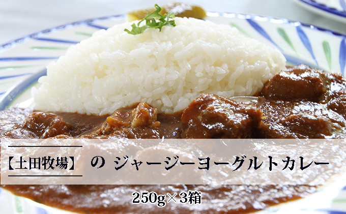 【秋田県にかほ市】ジャージーヨーグルトカレー 250g×3箱 加工食品 惣菜 レトルト インスタント