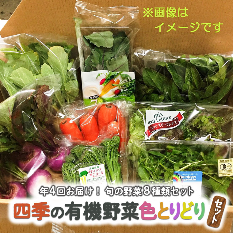 【まるで仕送り便】茨城県産旬の野菜・果物詰め合わせBOX 100サイズ