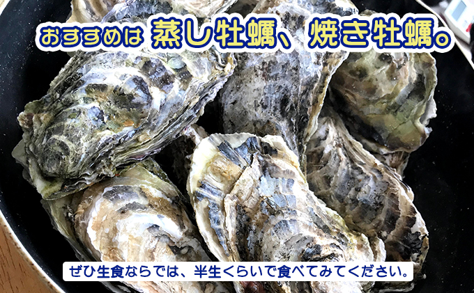 SALE／72%OFF】 北海道根室産 貝付き牡蠣20個 牡蠣むき身150g×5P 2022年11月上旬以降発送 C-54007 fucoa.cl