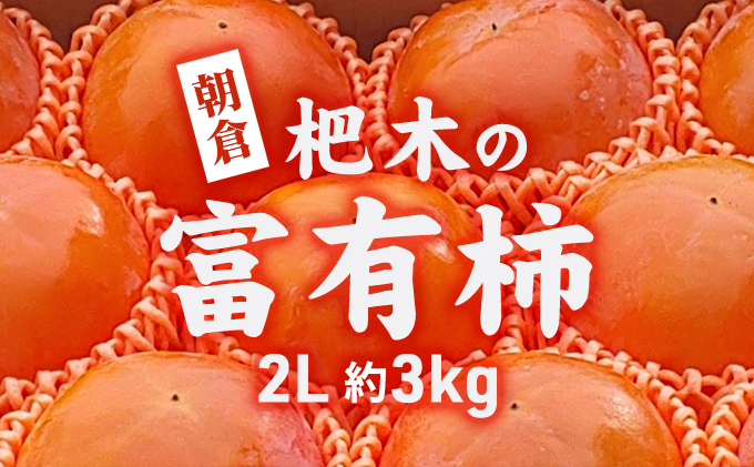 柿 かき 富有柿 3kg 2L サイズ 10～12個入り 朝倉 杷木の富有柿 カキ