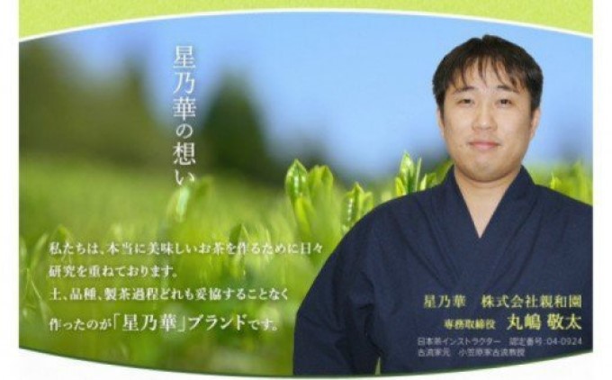 訳あり品 八女 星野茶 深蒸し茶 1100g（100g×11袋）八女茶|株式会社　親和園