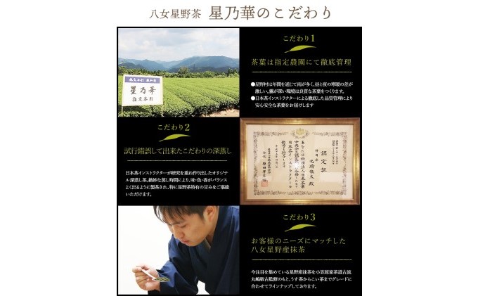 訳あり品 八女 星野茶 深蒸し茶 1100g（100g×11袋）八女茶|株式会社　親和園