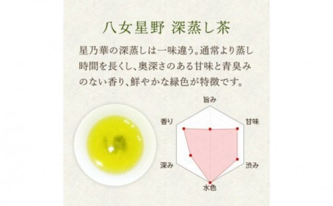 訳あり品 八女 星野茶 深蒸し茶 1100g（100g×11袋）八女茶|株式会社　親和園