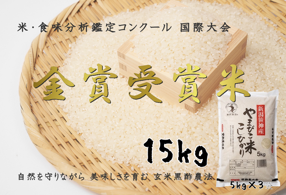 12月下旬精米 お米 コシヒカリ 15kg(5kg×3袋) 令和5年産 - 米