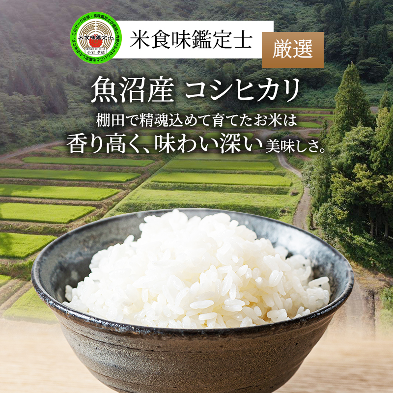 ふるさと納税 「米食味鑑定士 厳選」魚沼産コシヒカリ 5kg 3ヶ月連続お