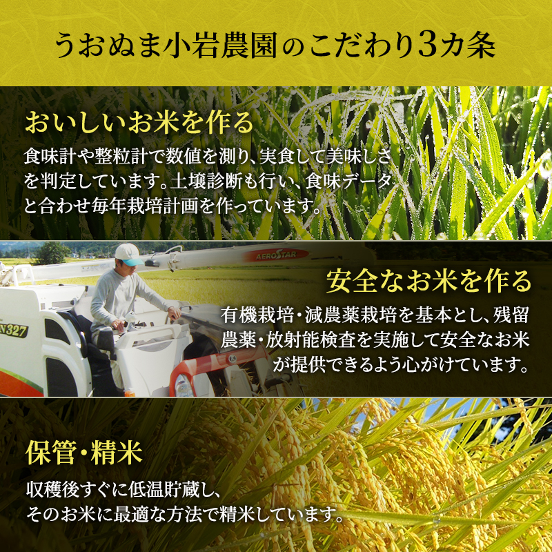 新潟県魚沼市のふるさと納税 頒布 無洗米 米食味鑑定士 厳選 魚沼産 コシヒカリ 5kg 12ヶ月 連続お届け ( 米 定期便 お米 こめ コメ おこめ 白米 こしひかり 12回 60kg お楽しみ )