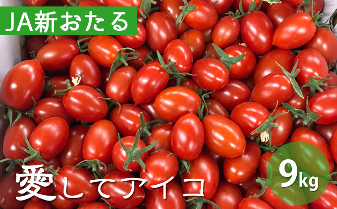 ミニトマト❤6苗 アイコ含む ランダム 抜き苗（ベランダ菜園トマト  