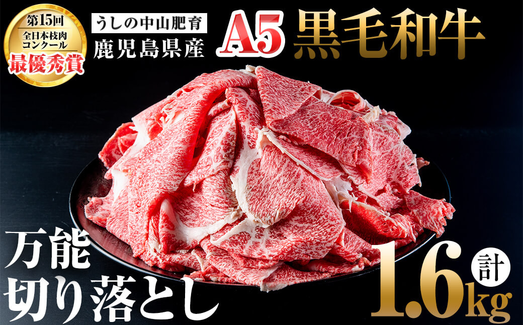 b5-138 ＜A5等級＞鹿児島県産黒毛和牛万能切り落とし 計1.6kg