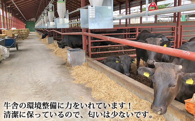北海道留萌市のふるさと納税 北海道産　東牧場あずま牛　黒毛和牛ロースステーキ約250g×2枚