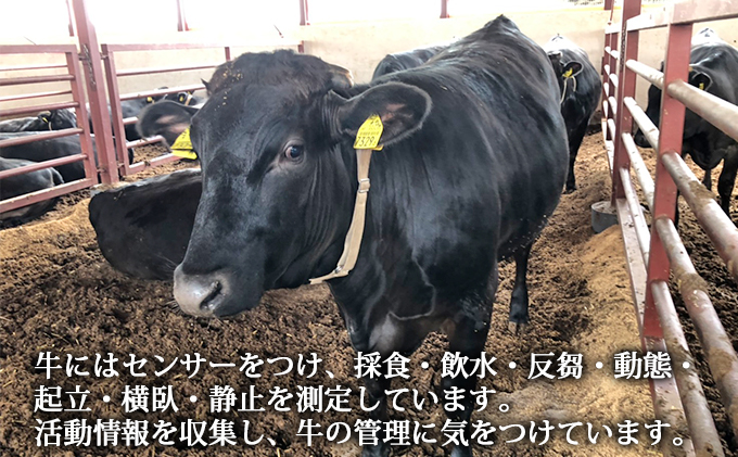 北海道留萌市のふるさと納税 北海道産　東牧場あずま牛　黒毛和牛ロースステーキ約250g×2枚