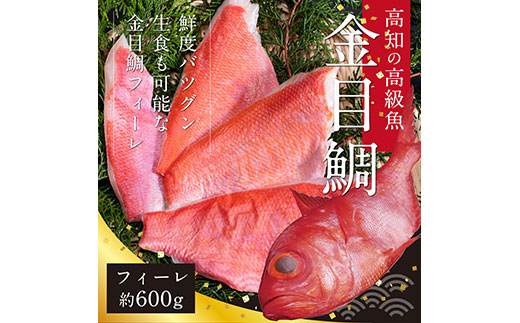 数量限定　海鮮金目鯛のフィーレ600g＜高知市共通返礼品＞