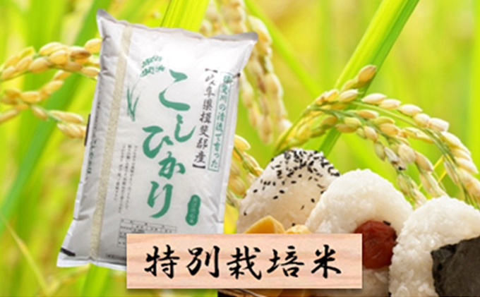 特別栽培米★精米10kg（分搗き可）または玄米11kg【コシヒカリ】