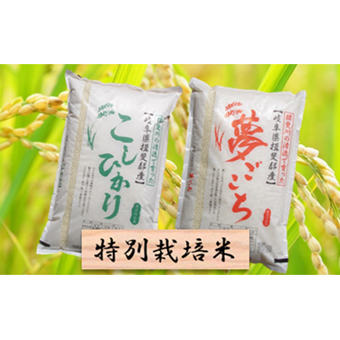 令和3年産 特別栽培米 白米4kg コシヒカリ 夢ごこち 岐阜県池田町 Jre Pointが 貯まる 使える Jre Mall