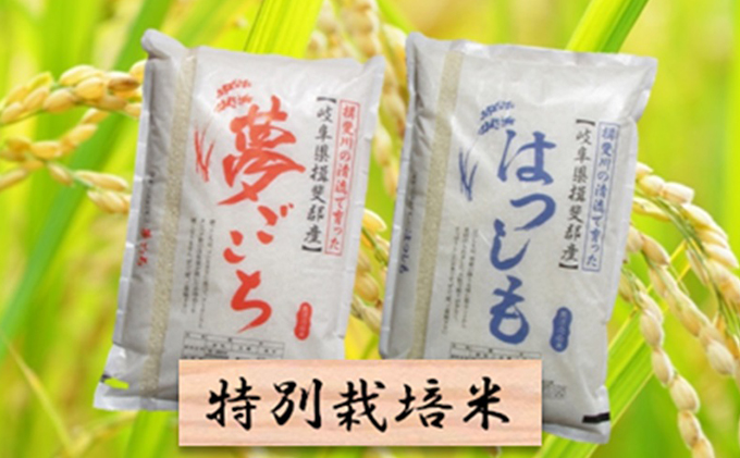 令和3年産 特別栽培米☆精米20kg（分搗き可）または玄米22kg【夢ごこち・ハツシモ】（岐阜県池田町） | ふるさと納税サイト「ふるさとプレミアム」