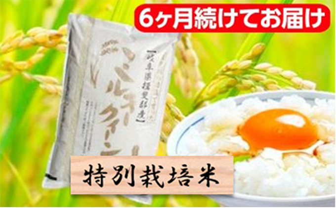 特別栽培米★[頒布会]6ヶ月★毎月白米5k