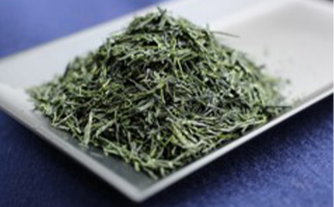 京都府京田辺市のふるさと納税 京田辺玉露 5g×8個入 お茶 緑茶