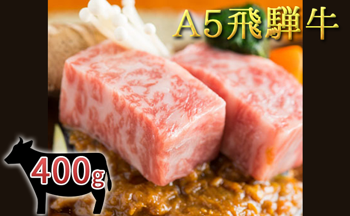 【岐阜県輪之内町】A5 飛騨牛ロースステーキ 2枚 400g