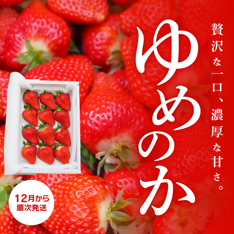 愛知県碧南市のふるさと納税 【12月以降順次発送】まるで赤いサファイア!!丹精込めた完熟いちご!! 約1350g　H130-011