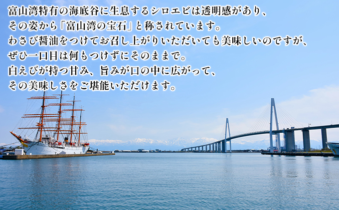 富山県射水市のふるさと納税 シロエビ刺身150g×2個【安吉水産】