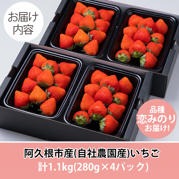 農園ガーデン空産いちご 恋みのりセット(計1.1kg・280g×4P)国産 イチゴ