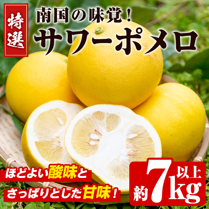 （鹿児島特産品）きよか サワーポメロ 箱満杯詰 先行予約受付中！2026年2月下旬以降発送予定＞数量限定！特選