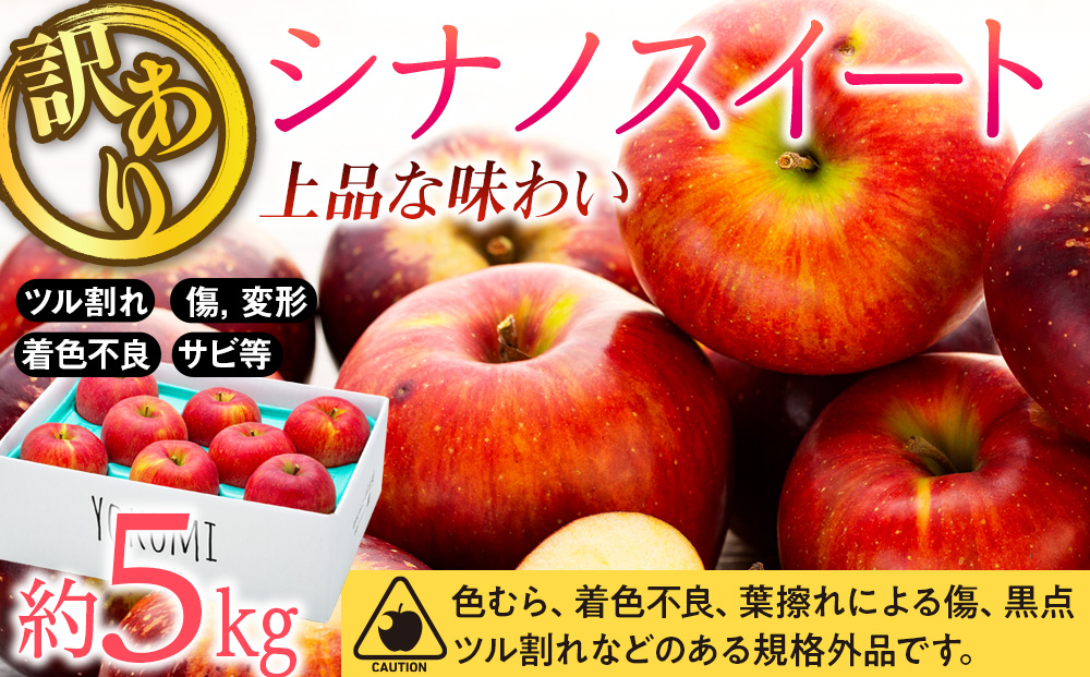 訳あり】家庭用 シナノスイート 約5kg りんご 長野 フルーツ 果物 信州産 特産 産地直送 おすすめ / 長野県箕輪町 | セゾンのふるさと納税