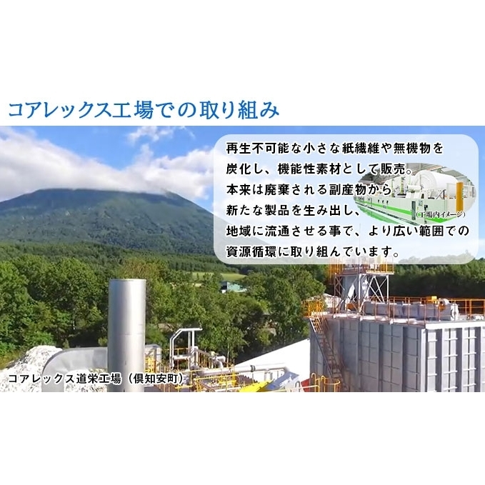 定期便】3カ月毎 計4回 日本ハムファイターズ トイレットペーパー 48個 ＆ 日本ハムファイターズ ティッシュ 15箱 セット まとめ買い 大容量  雑貨 日用品 生活用品 備蓄 箱 紙 ボックス 北海道 日本ハム ファイターズ グッズ 日ハム: 北海道倶知安町 | JRE POINTが ...