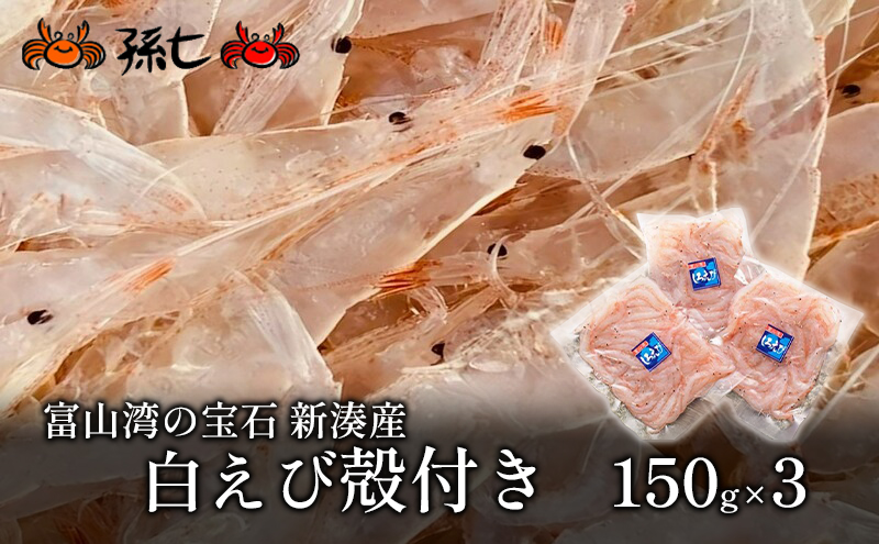 富山県射水市のふるさと納税 【おすすめ】白えび殻付き150g×3