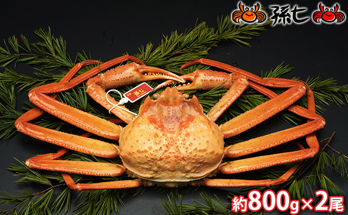 【おすすめ】紅ズワイガニ約800g×2尾（孫七タグ付）