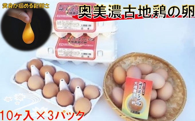 岐阜県海津市のふるさと納税 卵 神代の味の再現 奥美濃古地鶏の卵 鶏卵 たまご