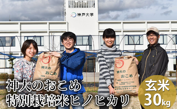 米 [令和5年産]神大のおこめ(特別栽培米ヒノヒカリ)玄米30kg