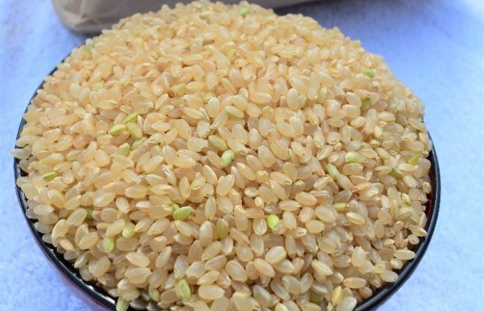【ふるさと納税 玄米】コシヒカリ玄米30kgには新米特有の青米が入っていることがありますが品質には問題ありません