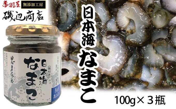 【青森県鰺ヶ沢町】なまこ 味付き 3本 セット 珍味 日本海 おつまみセット おつまみ ごはんのお供 ご飯のお供 加工食品 海産物 ナマコ 海鮮 魚介類 魚介 ※ご入金確認後 3ヶ月以内の発送になります。 青森県鰺ヶ沢町