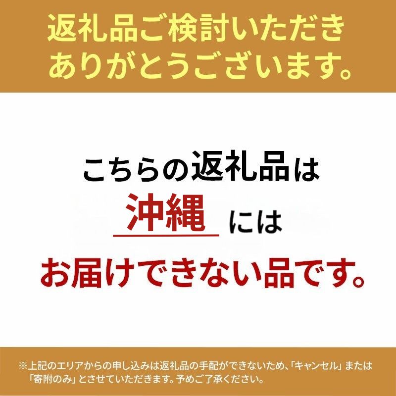 塩辛 無添加 昭和の塩辛 100g瓶×3本 セット 珍味 詰め合わせ 海産物