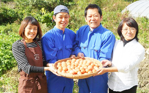 沖縄県南風原町のふるさと納税 美ら卵養鶏場のぴよぴよシフォン
